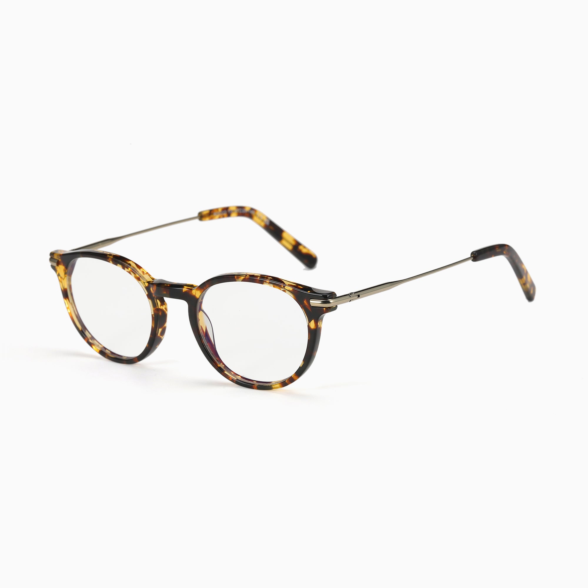 Rocco - Focus Glasses (day)