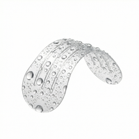 Bande Nasale Invisible